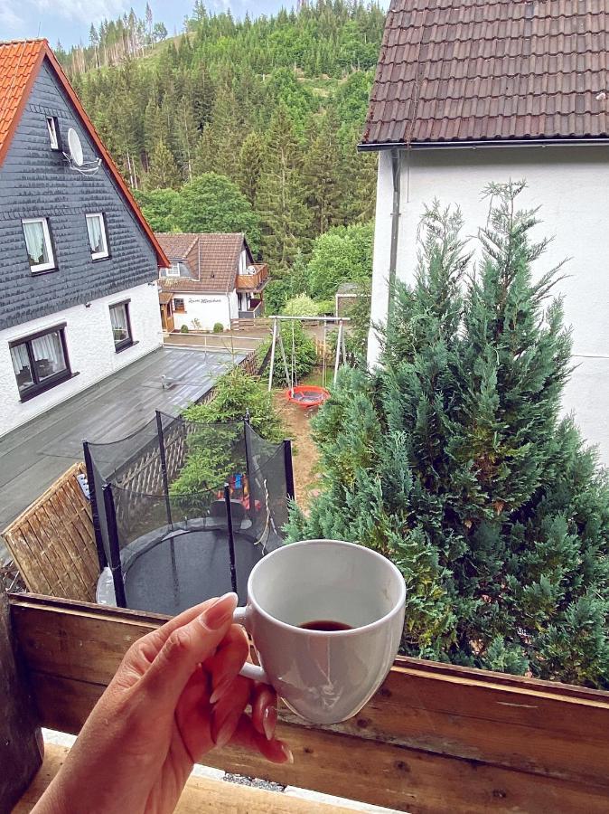 Haus Hamburg-Bettwäsche,Handtücher und Parkplatz sind im Preis inbegriffen Altenau  Exterior foto